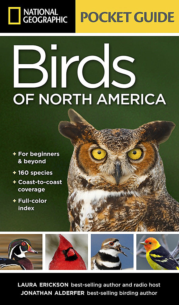 Pocket Guide to the Birds of North America