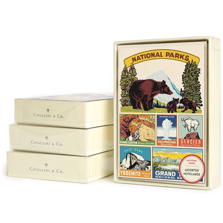 National Parks Boxed Notes - US Park Pass