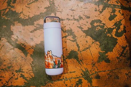 Canyonlands National Park Infinity Sticker - US Park Pass