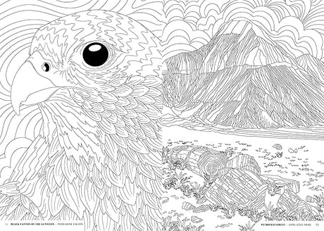 The National Parks: A Coloring Book - US Park Pass