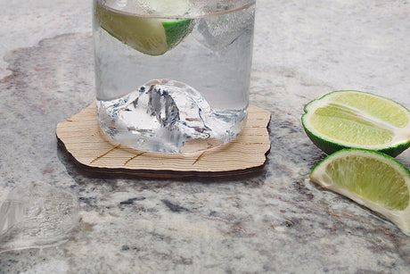 The Half Dome Coaster Set - US Park Pass