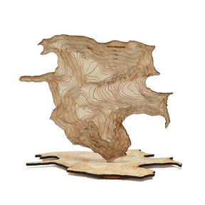 The Denali Coaster Set - US Park Pass