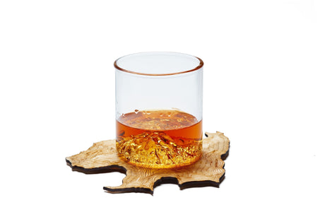 The Denali Coaster Set - US Park Pass