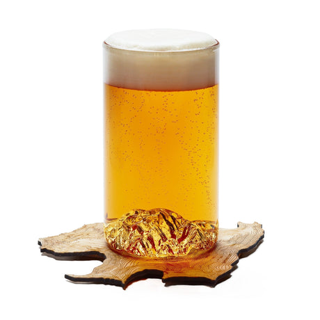 The Denali Pint - US Park Pass