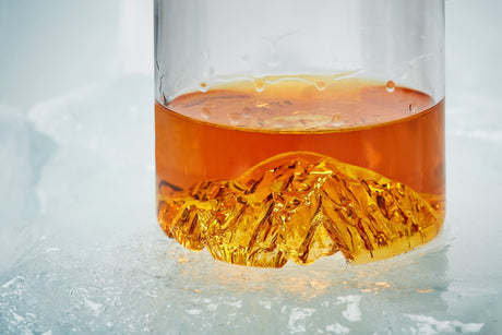 The Denali Tumbler - US Park Pass