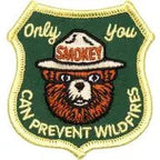 Only You Forestry Embroidered Patch - US Park Pass