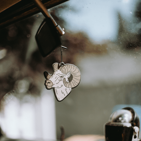 Rocky Mountain National Park Air Freshener - US Park Pass