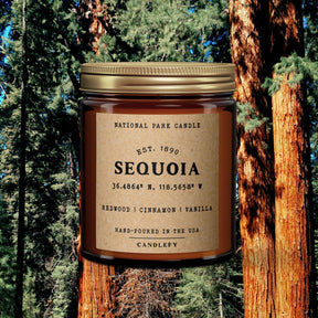 Sequoia National Park Candle - US Park Pass