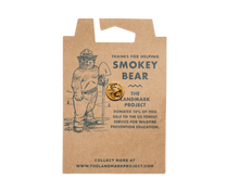 Load image into Gallery viewer, Smokey Bear Enamel Pin
