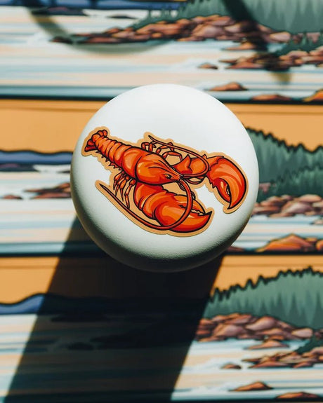 ACADIA Infinity Sticker - US Park Pass