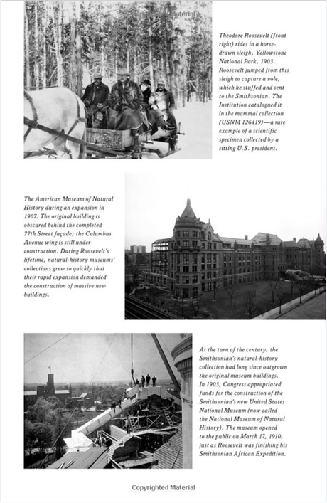 The Naturalist: Theodore Roosevelt, A Lifetime of Exploration, and the Triumph of American Natural History - US Park Pass