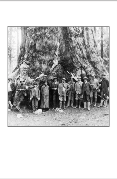 The Naturalist: Theodore Roosevelt, A Lifetime of Exploration, and the Triumph of American Natural History - US Park Pass