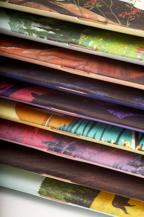 Field Notes - National Park Series - US Park Pass