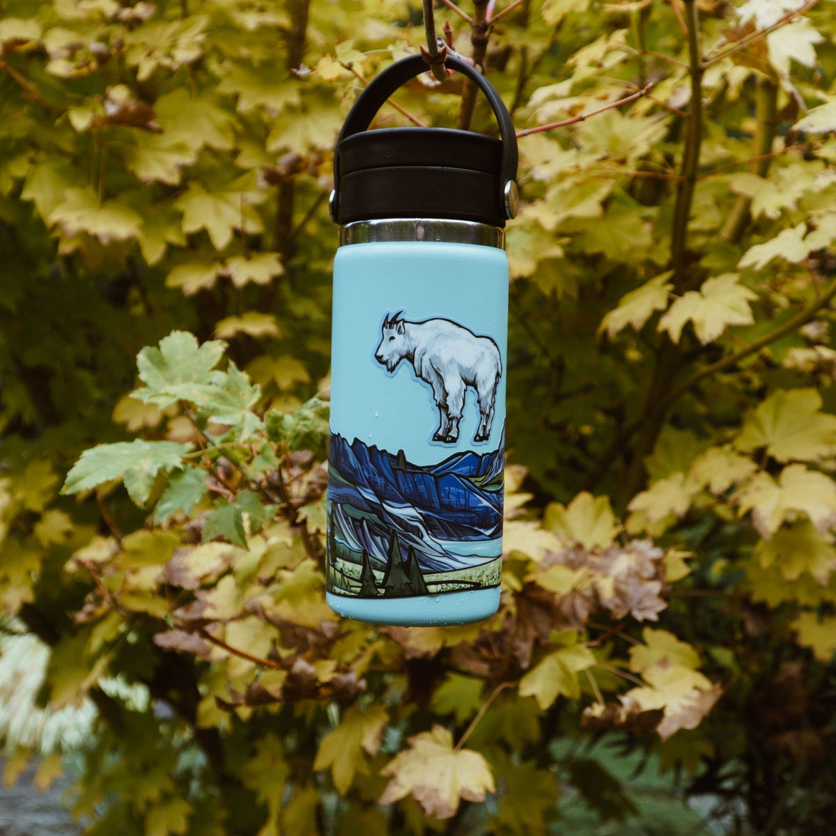 GLACIER National Park Infinity Sticker – US Park Pass