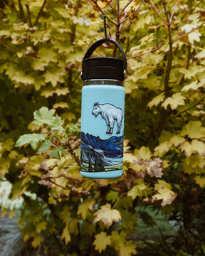 GLACIER National Park Infinity Sticker - US Park Pass