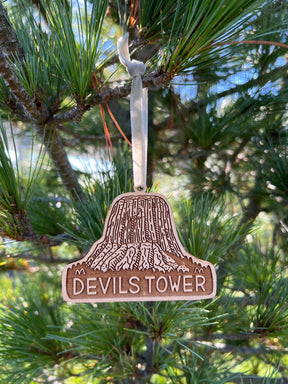 Devils Tower Ornament - US Park Pass