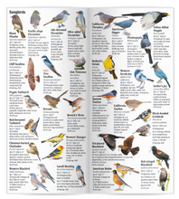 Load image into Gallery viewer, Birds of Central &amp; Northern California: A Guide to Common &amp; Notable Species