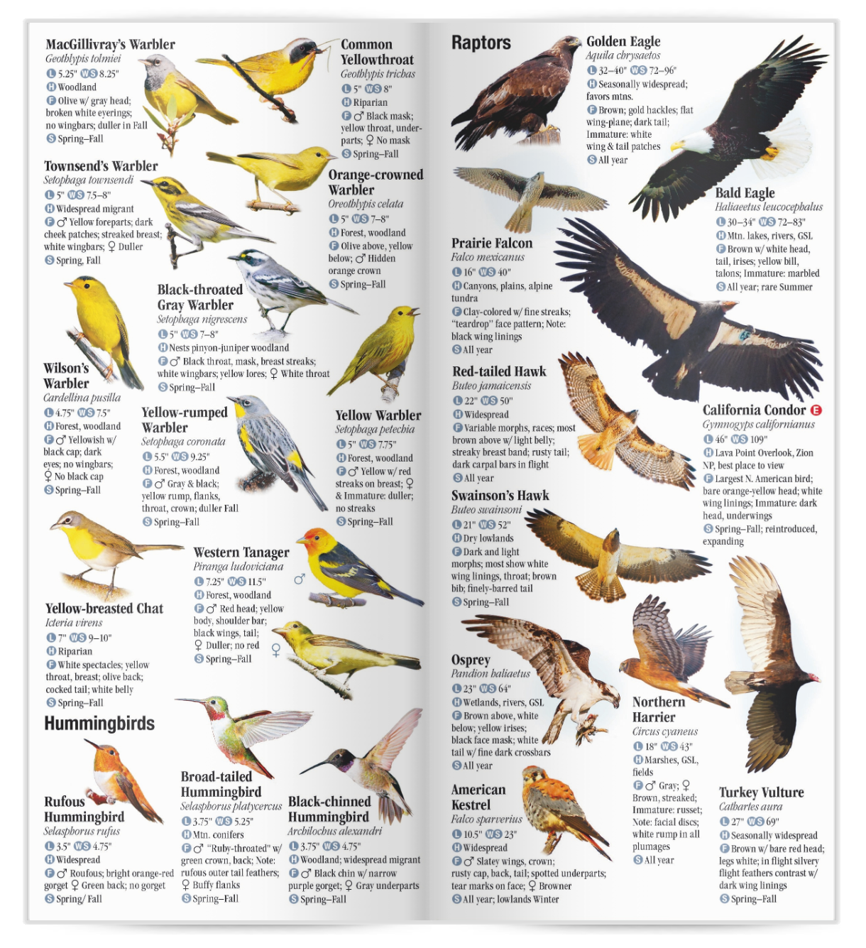 List of Birds of Prey - BirdLife International