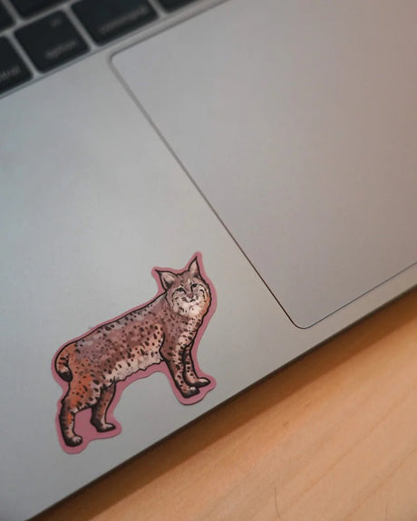 BIG BEND Infinity Sticker - US Park Pass