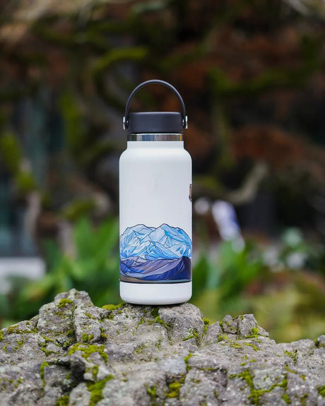 Denali Infinity Sticker - US Park Pass