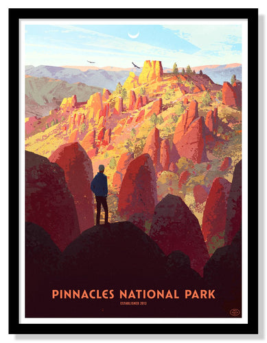 Pinnacles National Park Poster - 18