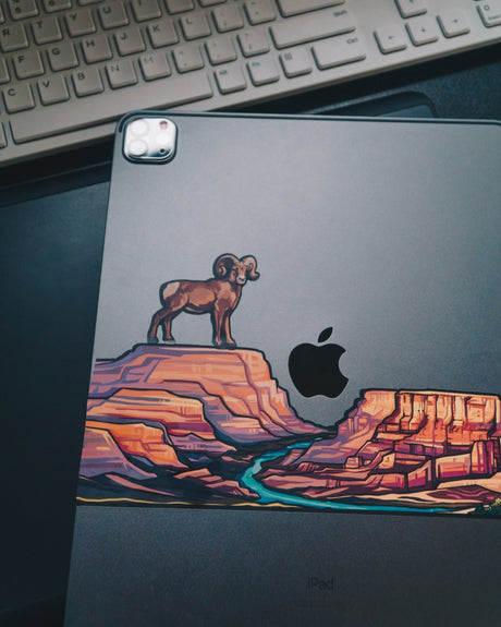 GRAND CANYON Infinity sticker - US Park Pass
