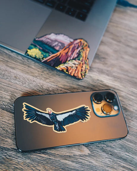 ZION Infinity Sticker - US Park Pass